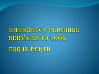 Emergency Plumbing Services to Look For In Perth