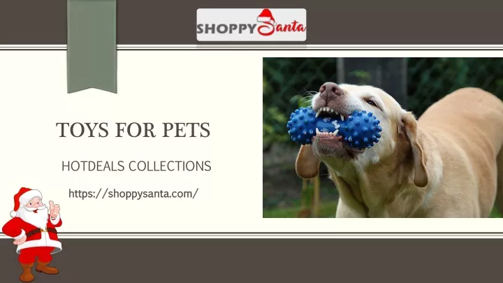 toys for pets