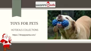 Toys for Pets Online at ShoppySanta