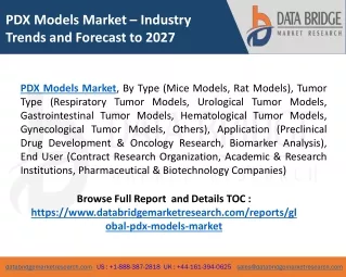 pdx models market industry trends and forecast