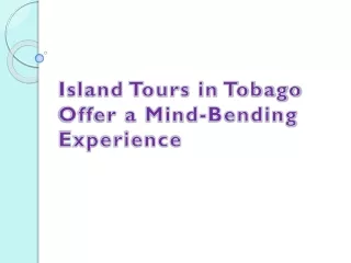 Island Tours in Tobago Offer a Mind-Bending Experience