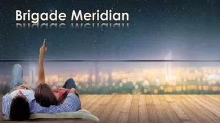Brigade Meridian Review