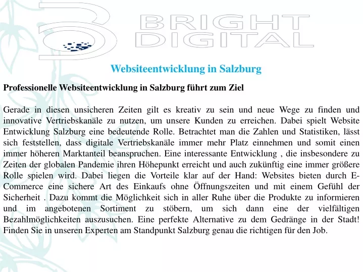 websiteentwicklung in salzburg