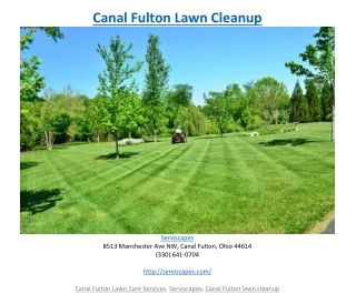 canal fulton lawn cleanup