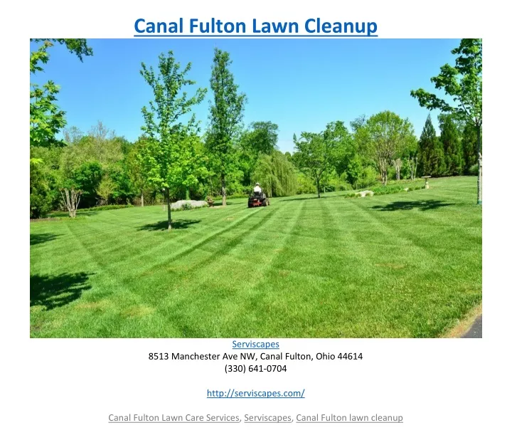 canal fulton lawn cleanup