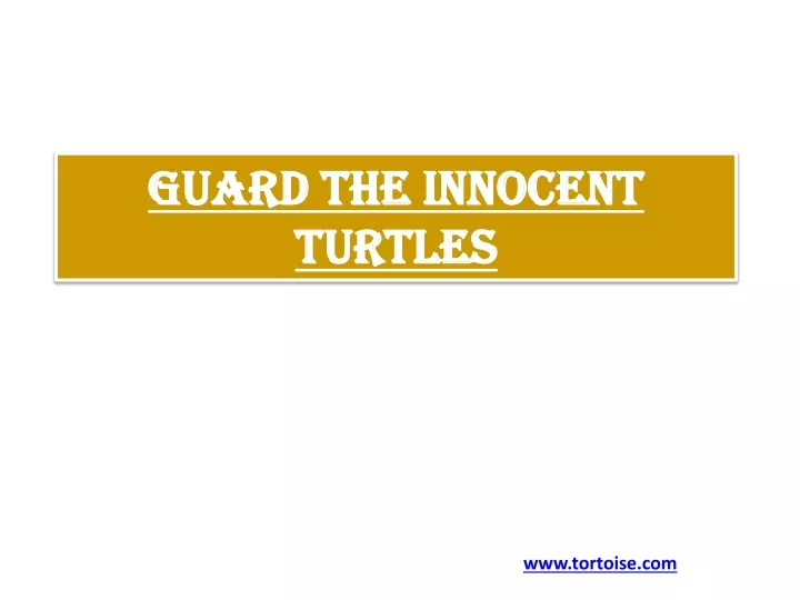 guard the innocent turtles