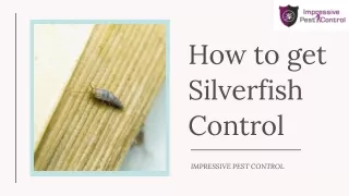 How to get Silverfish Control | Impressive Pest Control