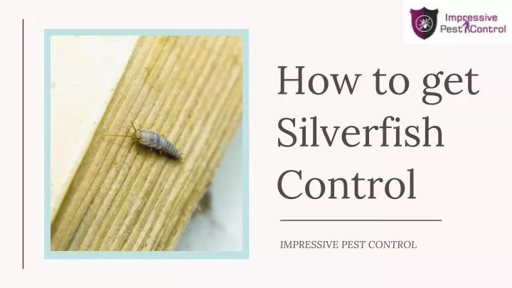 how to get silverfish control