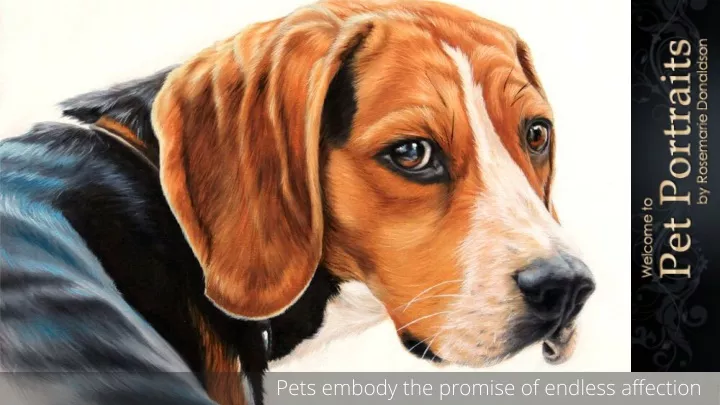 pets embody the promise of endless affection