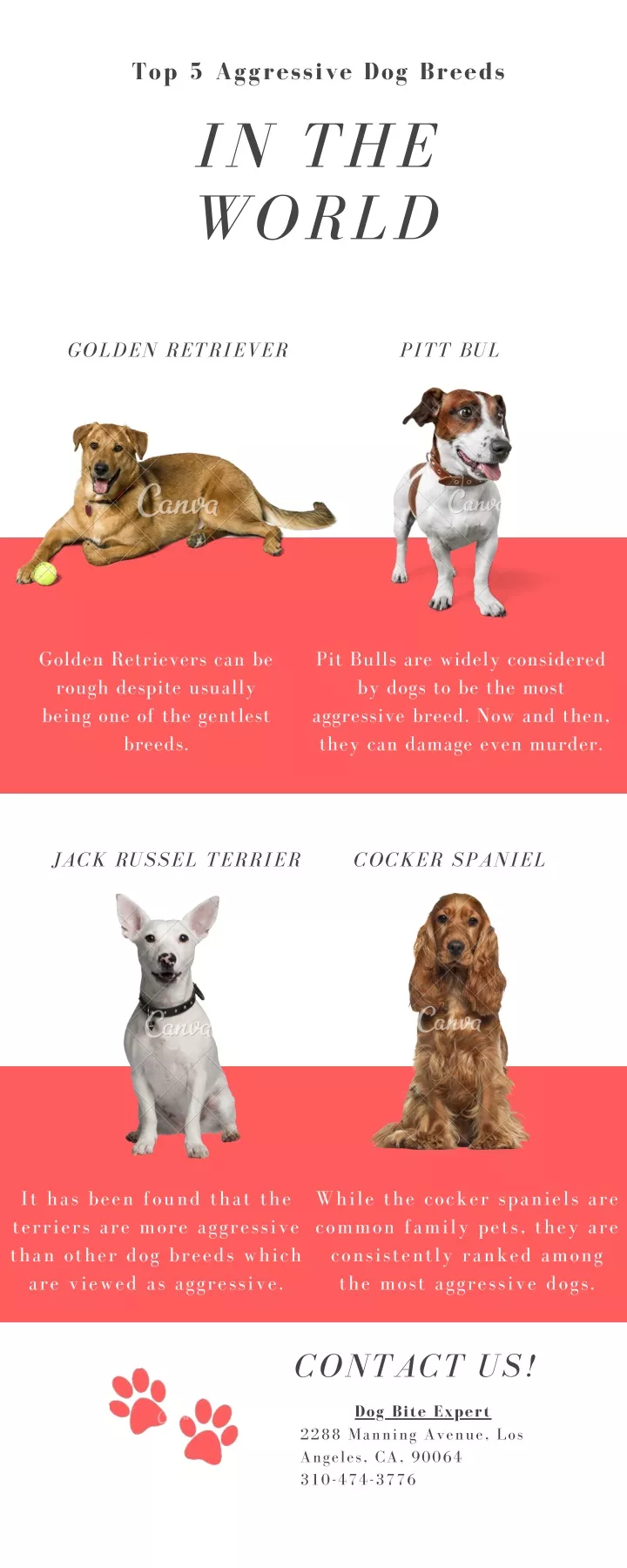 top 5 aggressive dog breeds