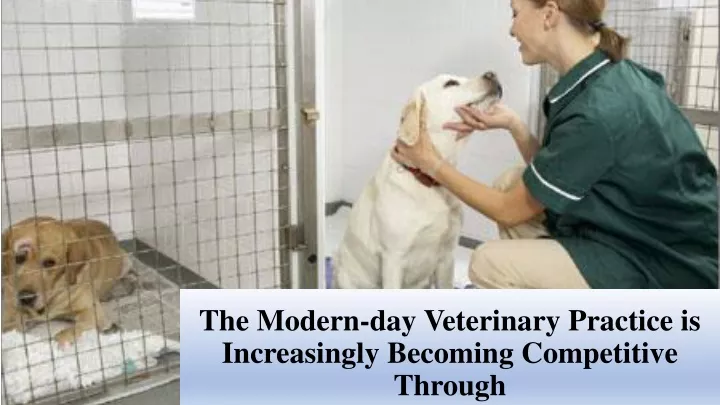 the modern day veterinary practice is increasingly becoming competitive through