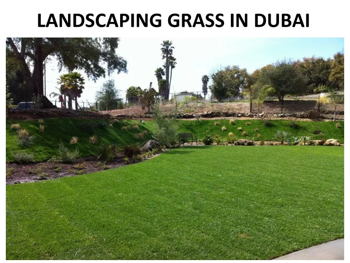 landscaping grass in dubai