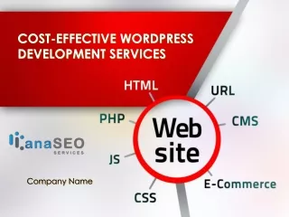 cost effective wordpress development services