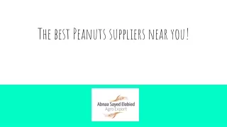 The best Peanuts suppliers near you!