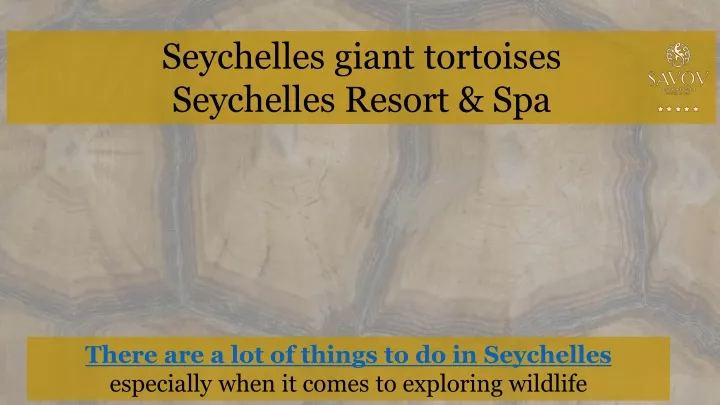 seychelles giant tortoises seychelles resort spa