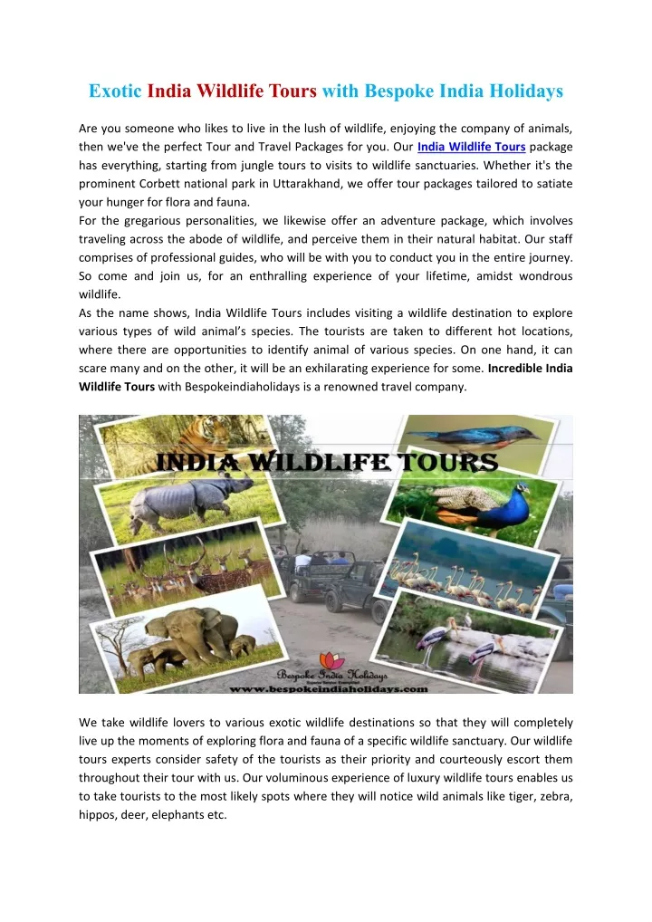 exotic india wildlife tours with bespoke india