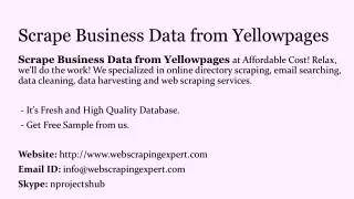 scrape business data from yellowpages