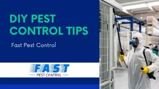 DIY Pest Control Tips