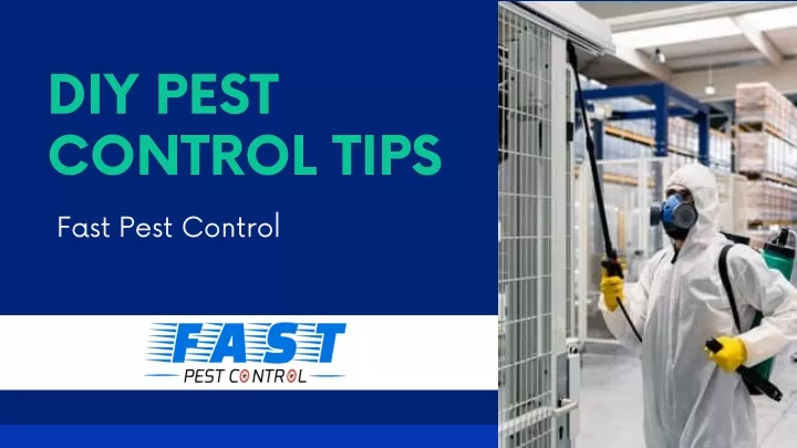 diy pest control tips