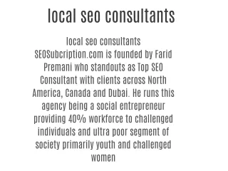 local seo consultants