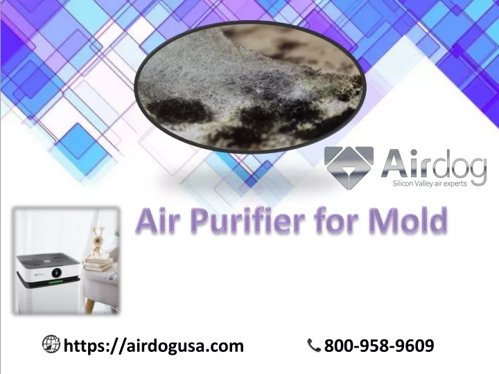 air purifier for mold