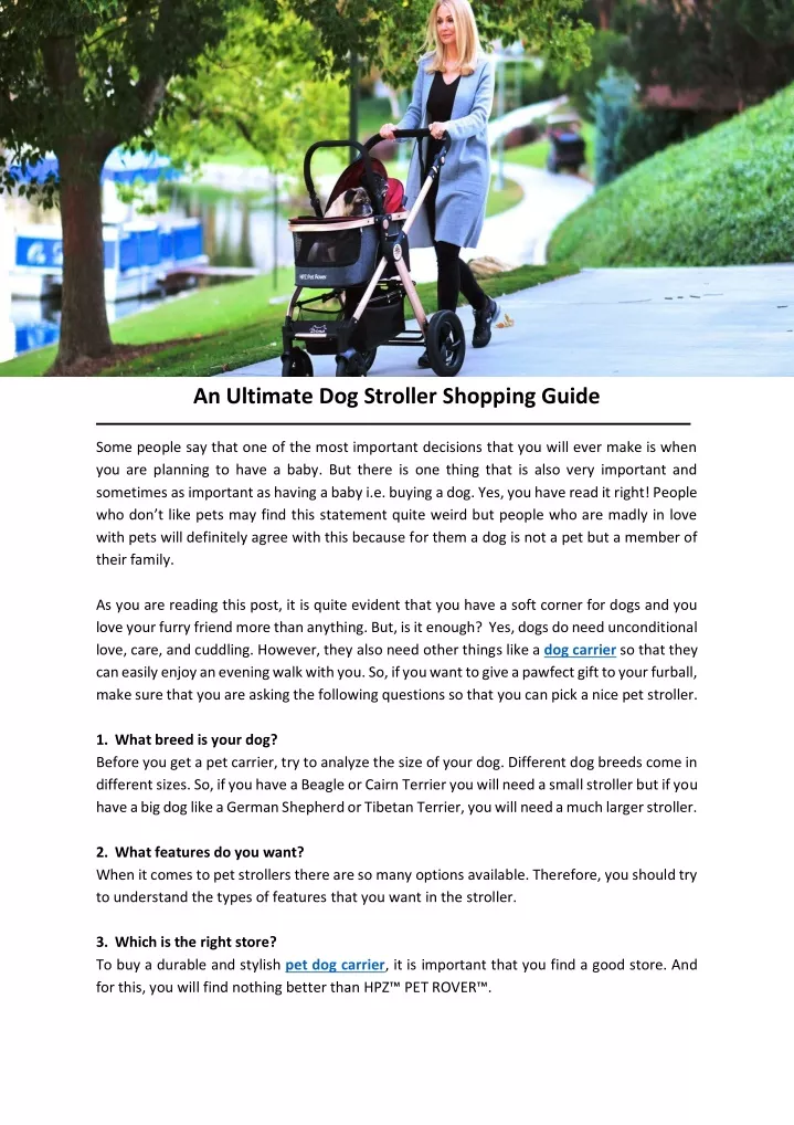 an ultimate dog stroller shopping guide