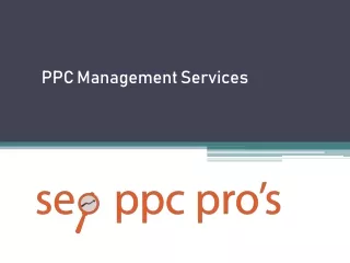 PPC Management Services - www.seoppcpros.com