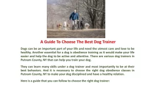 A Guide To Choose The Best Dog Trainer
