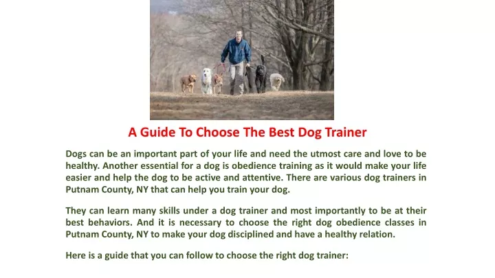 a guide to choose the best dog trainer