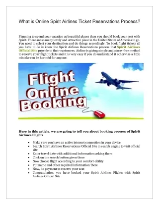 what is online spirit airlines ticket