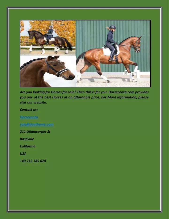 are you looking for horses for sale then this