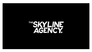 Hire Sky Line AD Agency Dallas for Business