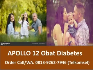 0813 9262 7946 Obat Diabetes Melitus Alami APOLLO 12