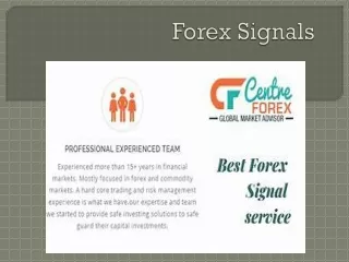 forex signals