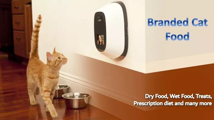 dry food wet food treats prescription diet and many more