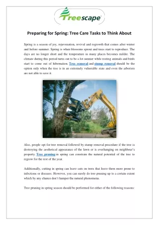 Preparing for Spring: Tree Care Tasks to Think About