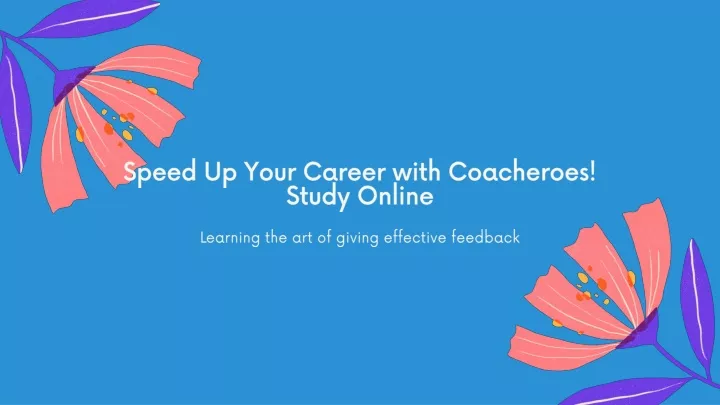 speed up your career with coacheroes study online