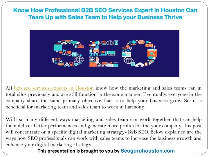 know how professional b2b seo services expert