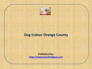 Dog trainer Orange County