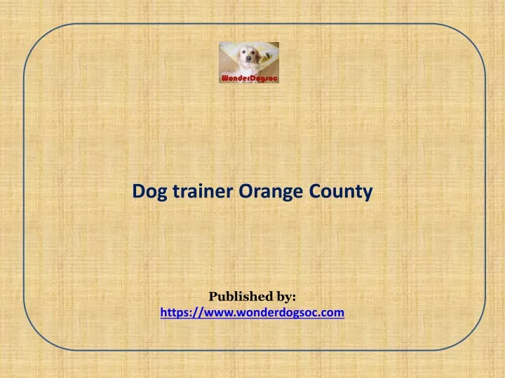 dog trainer orange county published by https www wonderdogsoc com