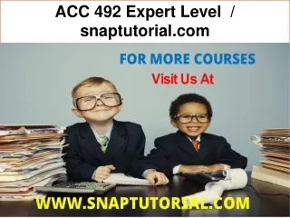 ACC 492 Expert Level  / snaptutorial.com