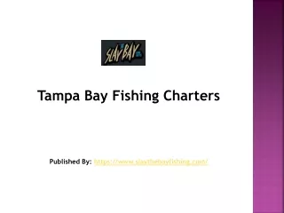 Slay The Bay Fishing-Tampa Bay Fishing Charters