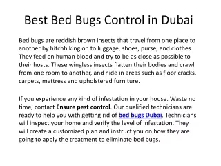 Best Bed Bugs Control in Dubai