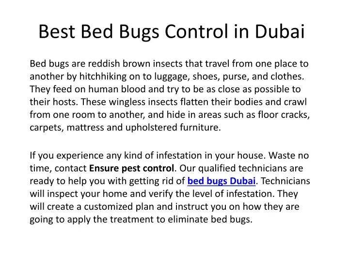 best bed bugs control in dubai