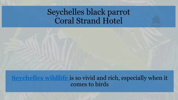 seychelles black parrot coral strand hotel