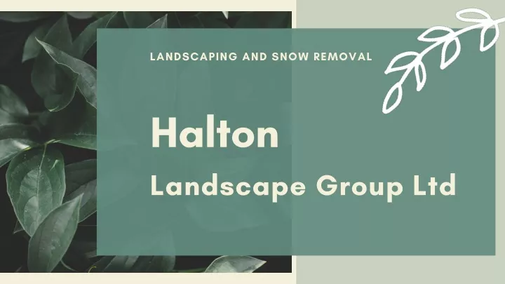 landscaping and snow removal