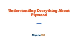 understanding everything about plywood
