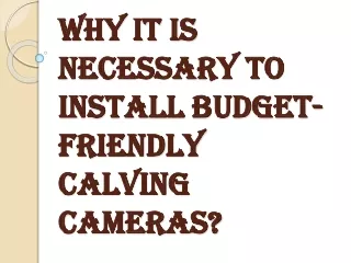 Benefits of Installing the Calving Cameras