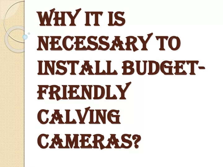 why it is necessary to install budget friendly calving cameras
