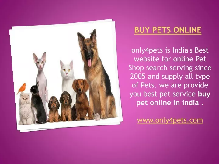 buy pets online